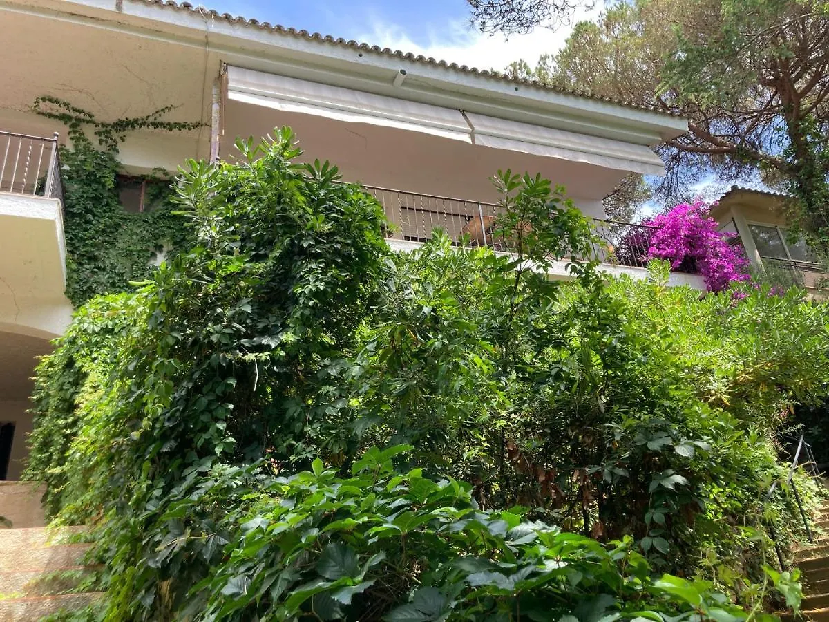La Casa Bonita Apartment Lloret de Mar